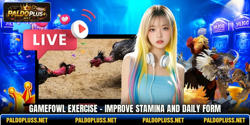 Gamefowl Exercise - Improve Stamina And Daily Form