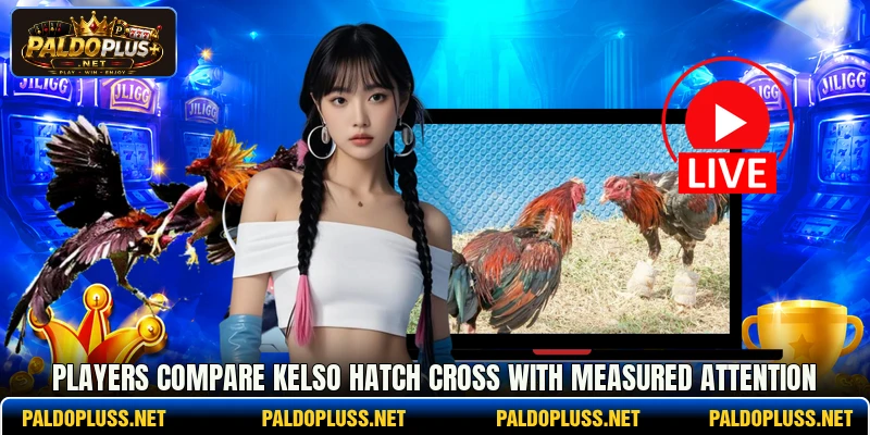 Players compare Kelso Hatch Cross with measured attention Players compare Kelso Hatch Cross with measured attention